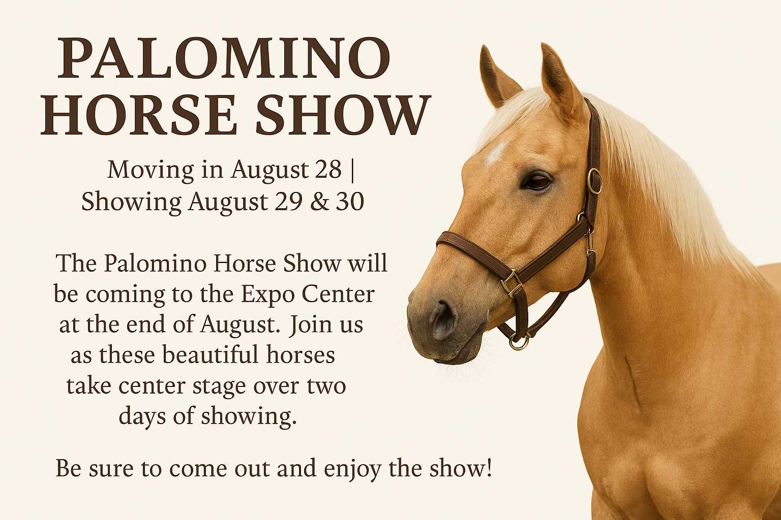 News Image Palomino Horse Show