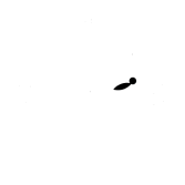 Saline County Logo